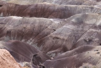 Colorful deposits of the Chinle Formation exposed at Little Painted Desert County Park near