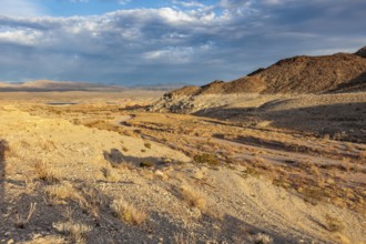Echo wash drains into the Overton Arm of Lake Mead at Echo Bay, Nevada, USA, North America