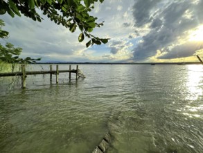 Evening atmosphere, shore area at Lake Starnberg, Bavaria, Germany, Europe