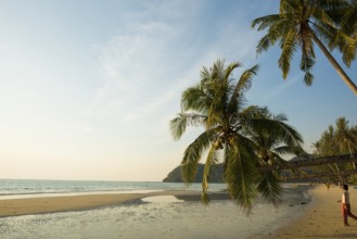 Sandy beach beach with coconut palms, Khlong Chao Beach, sunset, Koh Kood, Koh Kut, Gulf of