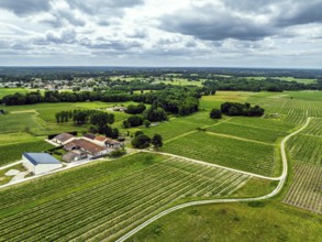 Vineyards and grape fields around Bordeaux from a drone, Saint-Mariens, Gironde,