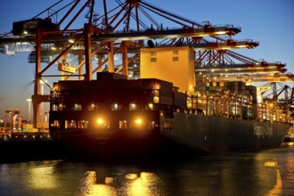 Container ships at the Eurogate container terminal in the evening with an atmospheric sunset,