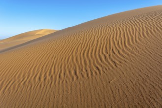 A sandy desert with a blue sky in the background. The sand is ribbed and has a slight slope.