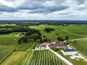 Vineyards and grape fields around Bordeaux from a drone, Saint-Mariens, Gironde,