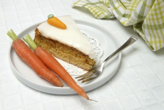 Carrot cake and carrots on a plate, carrot cake, carrot cake