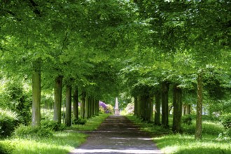 Schwanberg Castle Park, Steigerwald nature park Park, Lower Franconia, Franconia, Germany, Europe