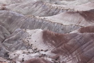 Colorful deposits of the Chinle Formation exposed at Little Painted Desert County Park near