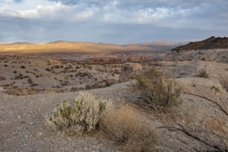Echo wash drains into the Overton Arm of Lake Mead at Echo Bay, Nevada, USA, North America