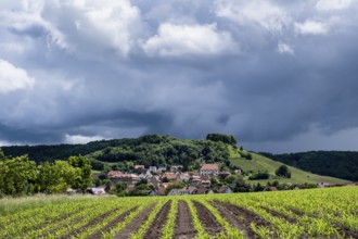 Dark clouds in the sky, Castell, Steigerwald nature park Park, Lower Franconia, Franconia, Germany,