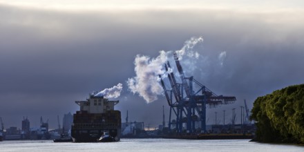 Container ship MSC Tokyo with two small tugs near the Burchardkai container terminal in the Port of