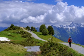 Hiker on the panorama trail, Penken, Finkenberg, Mayrhofen, Zillertal, Tyrol, Austria, Europe