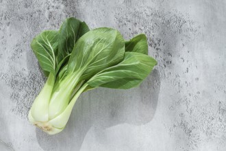 Fresh bok choy, laid out on a light gray surface, top view, natural light