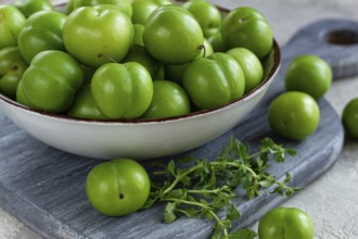Tkemali, green cherry plum, in a bowl, on a gray table, top view, natural light, no people