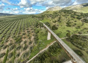 Cycle path Via Verde Del Aceite, old railroad track passes through olive fields, cycle path on