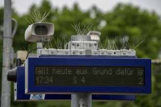 Display board, at a station, train cancellation announcement due to construction work, display