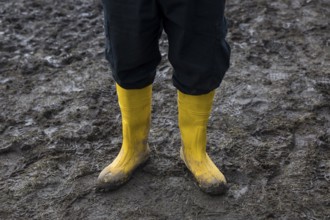 Festival visitors with yellow rubber boots in the mud at the Rock am Ring Festival on Sunday,