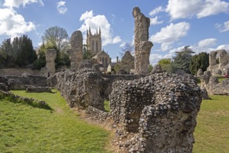 Ruins, St Edmund's Abbey, St Edmundsbury Cathedral, Bury St Edmunds, West Suffolk, England, Great