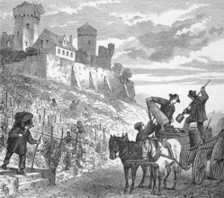 Gathering grapes, around 1870, vineyard in central France, digital reproduction of a historical