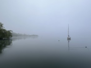 Sailing boat in the fog on Lake Starnberg, Bavaria, Germany, Europe