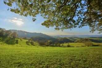 Sunny, picturesque landscape with green hills, trees and a clear sky in the background,