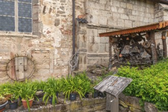 Church and bible garden of St Crucis Church, Bad Sooden, Allendorf, Allendorf district, art, potted