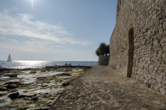 Southern city wall, Novigrad, Istria, Croatia, Europe