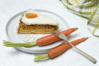 Carrot cake and carrots on a plate, carrot cake, carrot cake