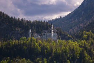 Neuschwanstein Castle against a backdrop of forest and mountains, Schwangau near Füssen, Ostallgäu