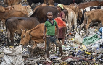 Garbage collectors searching for recyclable material at garbage disposal site, in Assam, India on
