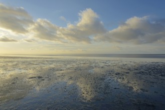North Sea, Wadden Sea at low tide, blue sky with low clouds (cumulus), Norddeich, Lower Saxony,
