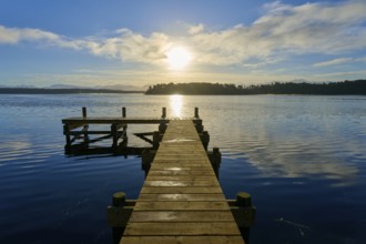 A jetty leads into a lake, the sun shines brightly and is reflected in the water, Lake Mahinapua,