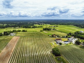 Vineyards and grape fields around Bordeaux from a drone, Saint-Mariens, Gironde,