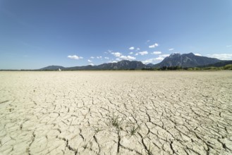 Cracked, dried out ground, waterless Forggensee in spring, behind it Tegelberg massif and Säuling,