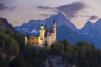 Fairytale castle against a mountain backdrop in the soft evening light, Neuschwanstein, Schwangau