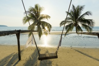 Sandy beach beach with coconut palms, Khlong Chao Beach, sunset, Koh Kood, Koh Kut, Gulf of