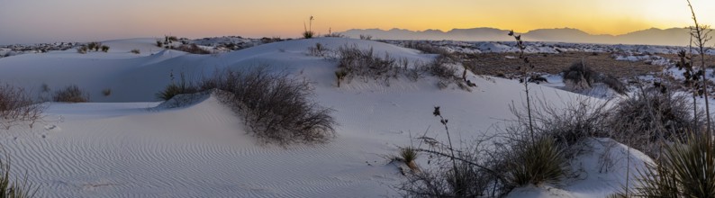 Gypsum dunefields at White Sands National Monument located within the Chihuahuan Desert and the