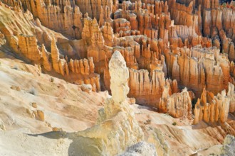 Bryce Canyon, Bryce Canyon National Park, Utah, USA, North America