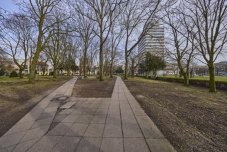 Allianz-Hochhaus, Neustädter cemetery, historic cemetery, lawn, path, paving slabs, bare winter