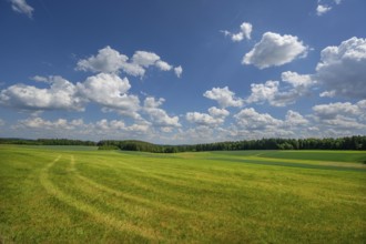 Franconian landscape with cloudy sky, Neunhof, Middle Franconia, Bavaria, Germany, Europe