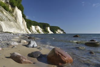 Chalk coast at Jasmund National Park on Rügen, Mecklenburg-Western Pomerania, Germany, Europe
