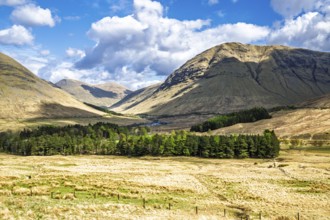 Allt Kinglass Viaduct, Bridge of Orchy, Highlands, Scotland, UK