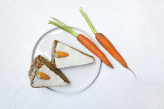 Carrot cake and carrots on a plate, carrot cake, carrot cake