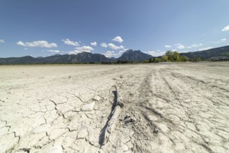 Cracked, dried out ground, waterless Forggensee in spring, behind it Tegelberg massif and Säuling,