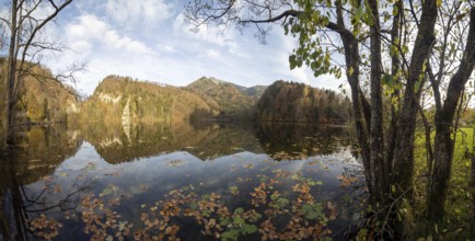 Autumn atmosphere at Krottensee, Schafberg in the background, near Sankt Gilgen, Salzkammergut,