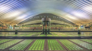 Platform with lift, Liège-Guillemins station, Liège, Belgium, Europe