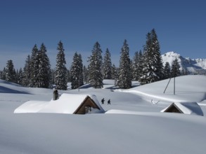 Winter scene in Toggenburg, huts and trees, snow