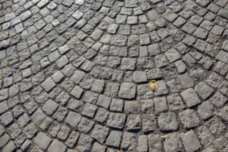 Cobblestone stone pavement background texture on the street