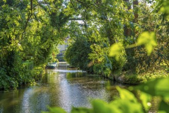 The Spree on the outskirts of the city