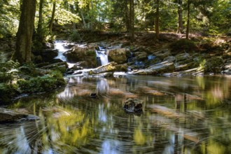 Selketal Harz Selke Waterfall