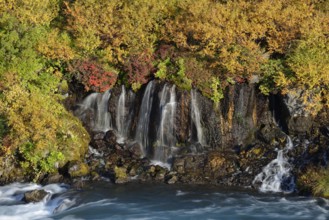 Waterfall Hraunfossar, river Hvita, Iceland, Europe
